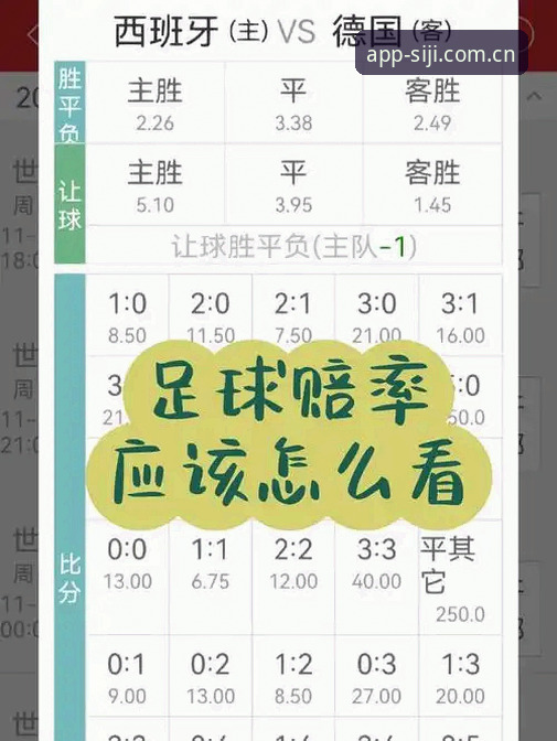 四季赔率分析怎么样？新手入门详细操作指南